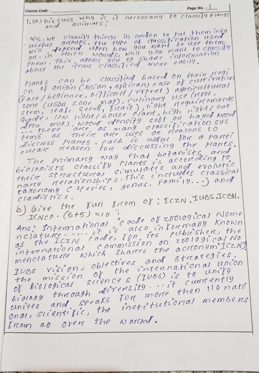 handwriting assignment sample